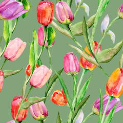 Tulips seamless pattern. Image on a white and colored background. - 789290754
