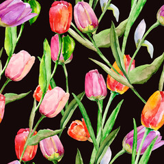 Tulips seamless pattern. Image on a white and colored background. - 789290756