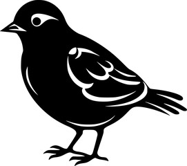 Pigeon | Black and White Vector illustration - obrazy, fototapety, plakaty