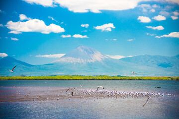 Volcanoes, Seagulls and Blue skies panorama at "Morazán" port, "Real" estuary. Chinandega, Nicaragua, Central America. Beautiful tropical paradise landscape. Natural resources. Adventure tourism. 