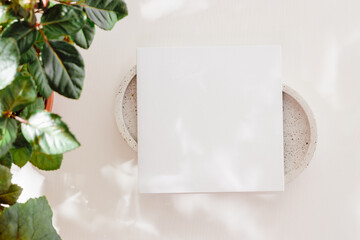 Paper sheet card on the tray with beautiful sunlight shadows and green leaves on white wooden background. Card mockup with copy space for invitation, greeting, wedding, branding and design. - obrazy, fototapety, plakaty