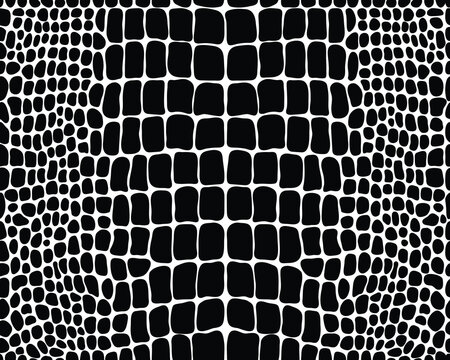Seamless pattern of alligator skin on a white background	
