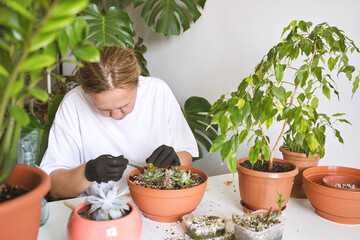 In a cozy room, a smiling woman tends to her beloved plants with care, creating a green oasis in her home. Her happy demeanor reflects her love for gardening, making balcony a cheerful haven