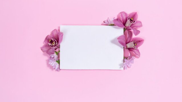 White rectangular background is decorated natural orchids and chrysanthemums flowers buds. Pink background. Template for text or design. Mother's or Women's day holiday, wedding and other events. Stop