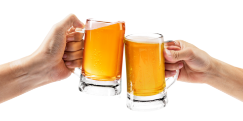 Png toasting with beer mugs