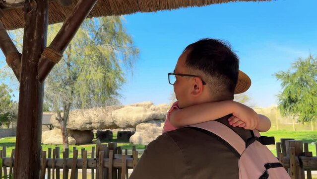 man and child looking at elephants at the zoo