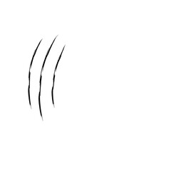 animal Claw scratches mark