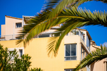 Fototapeta na wymiar resort architecture with palm tree leaf - Cap d'Agde, France