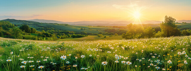Tranquil spring meadow with blooming daisies at sunset and lush green hills