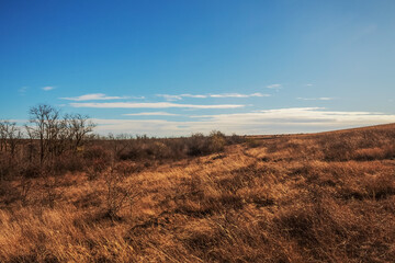 Fototapeta premium Macro photography - Landscapes - Europe, Romania, Constanta region, 2023 year