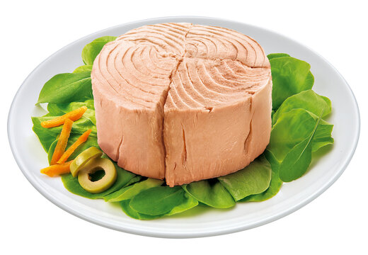 prato com atum acompanhado de salada de folhas verdes e azeitona isolado em fundo transparente