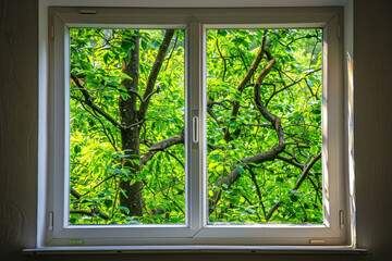 white plastic window with white frames on the outside and green trees visible from inside, view through modern glass window with nature background