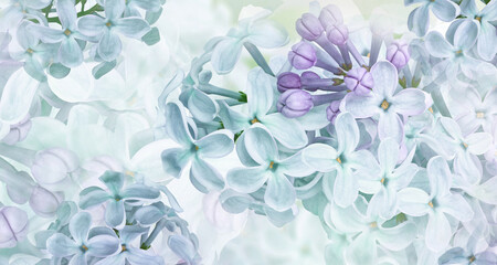 Floral spring background. Lilac flowers background. Nature.
- 789339308