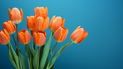 orange tulips on a blue background, natural lighting сreated with Generative Ai