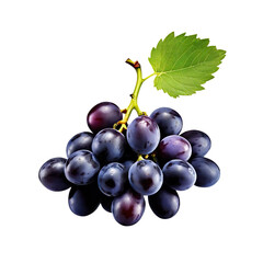 Fototapeta premium Fresh grape fruit. Whole ripe berry with green leaf isolated. Healthy diet. Vegetarian food.
