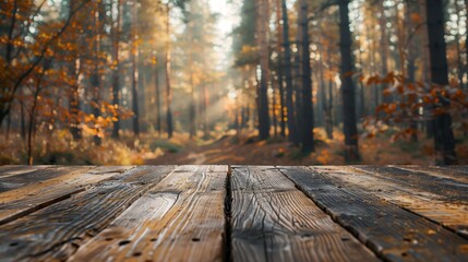 Autumn Morning Light on a Secluded Forest Trail - obrazy, fototapety, plakaty