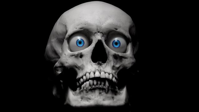 Human skull rotates on its axis. Eyes appear. Smooth rotation.