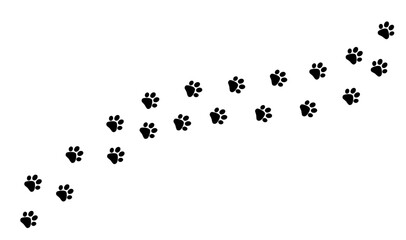Cute cat paw print road. Vector illustration