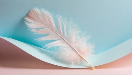 white feather on blue background