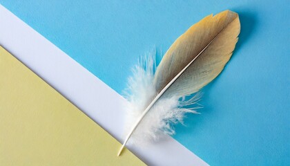 feather on blue background