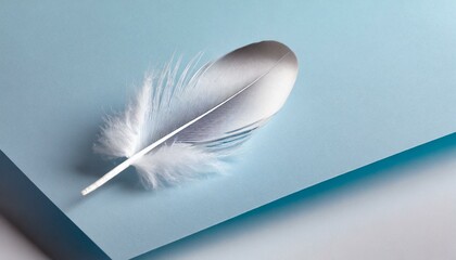 feather on blue background