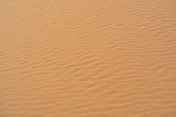 Fototapeta na wymiar Sand surface in the desert with interwoven sand ripples