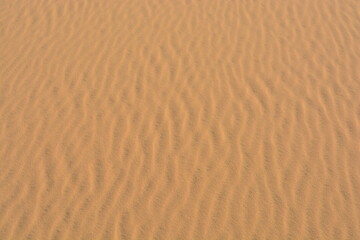 Fototapeta na wymiar Sand surface in the desert with interwoven sand ripples