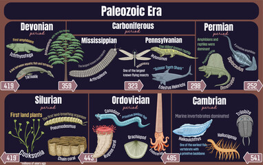Paleozoic Era: Geological timeline spanning from the Cambrian to Permian period. - obrazy, fototapety, plakaty
