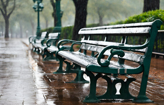Wet Benches In The Park On Rain Empty Recollection Seat Photo Background

