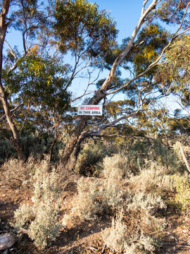 sign advising no camping allowed in bushland area