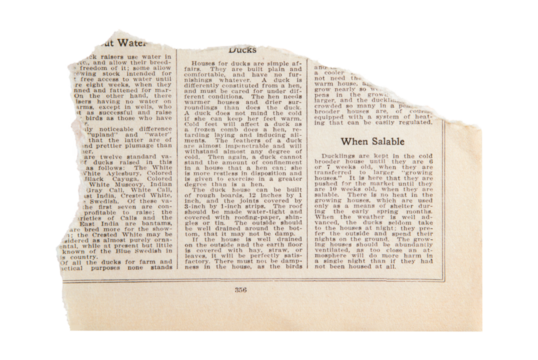 Torn page png ephemera collage element, transparent background