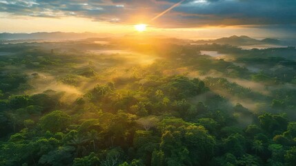 Fototapeta na wymiar Sunrise Over Jungle Canopy: Stunning Aerial View of Dramatic Natural Beauty