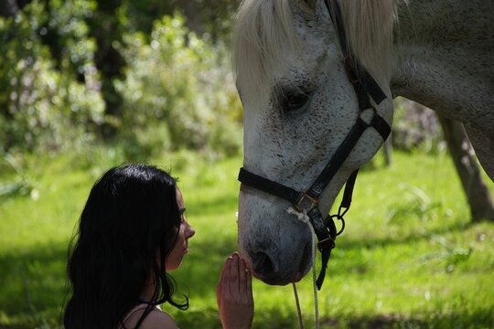 l'amour une personne est son cheval