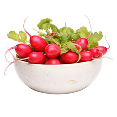 radish in ceramic bowl SVG on transparent background