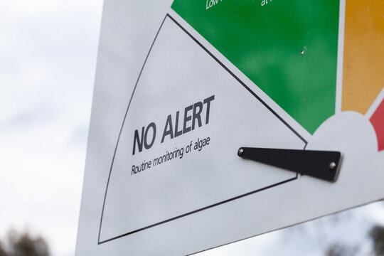 algae alert warning sign on no alert by Lake Wallace