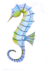 Seahorse pencil drawing.