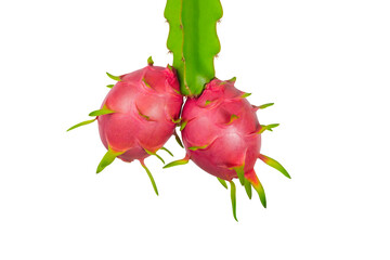 fresh whole Dragon fruit, pitahaya (pitaya) isolated on white background, clipping path included....