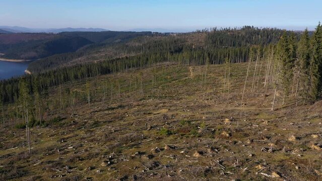  Deforestation logging industrial site from above, aerial view