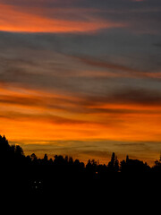 sunset over the forest