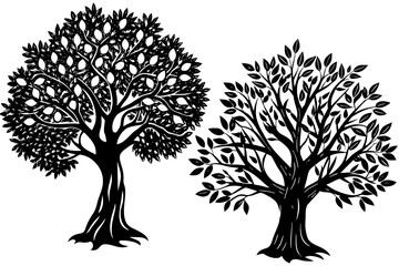 Obraz premium olive-tree-osage-orange vector illusrtation