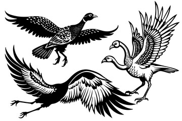  pheasant-flamingo-condor-kestrel-flying-in-the-sky vector illusrtation