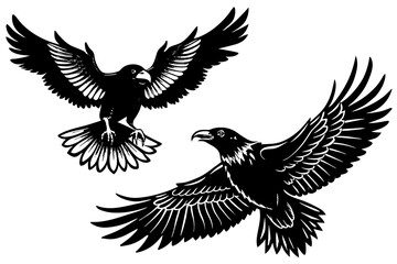  raven-finch-eagle-flying-in-the-sky vector illusrtation
