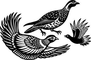 ---quail-roadrunner-grouse-flying-in-the-sky  vector illusrtation