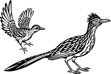       raven-finch-eagle-flying-in-the-sky. vector illustration