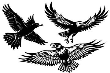 Obraz premium raven-finch-eagle-flying-in-the-sky. vector illustration