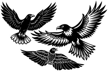       raven-finch-eagle-flying-in-the-sky. vector illustration