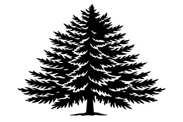 -red-pine vector illustration