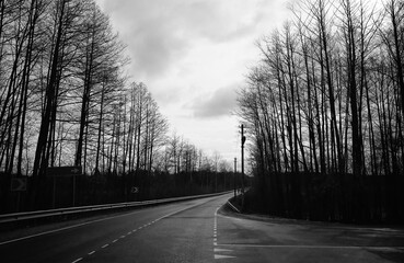 Black & white empty spring road background - 789393948