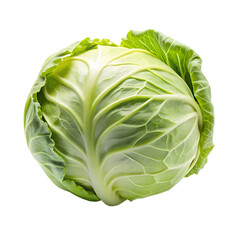 Fototapeta premium cabbage isolated on transparent background