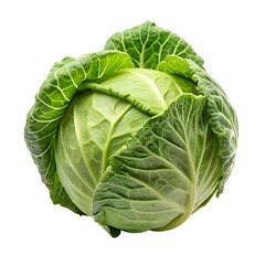 Fototapeta premium cabbage isolated on transparent background